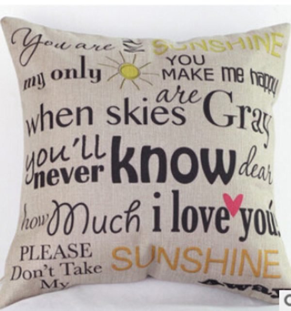 throw pillow cover