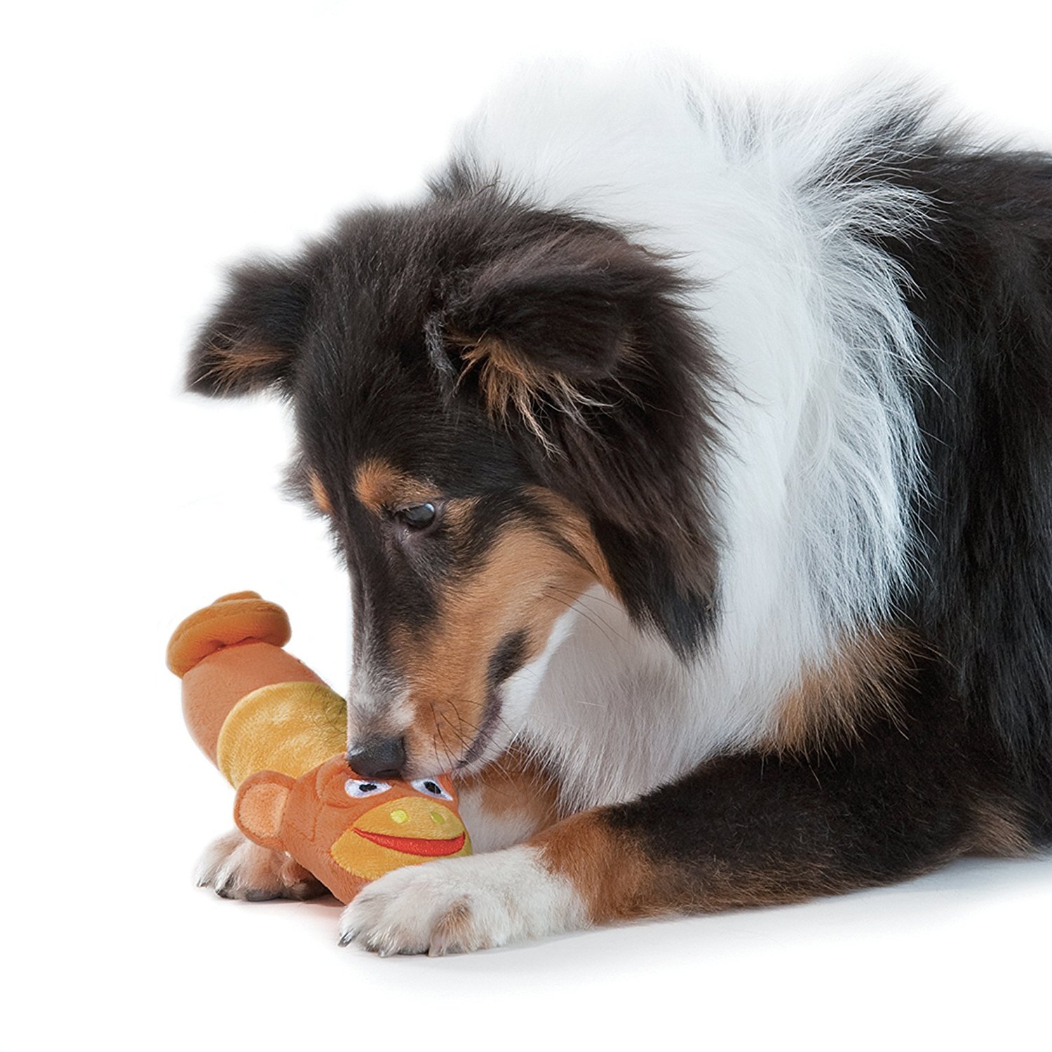 no stuffing toys for dogs