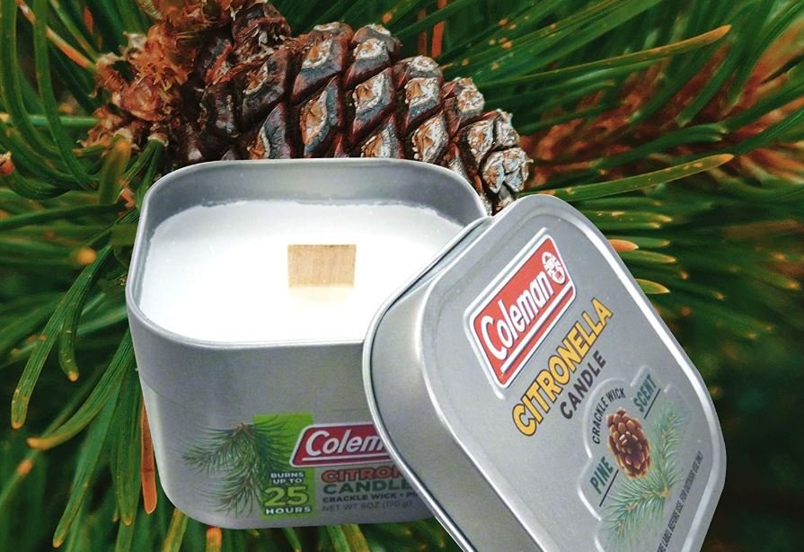 Coleman Pine Scented Citronella Candle Only 2.94! a Coupon Queen