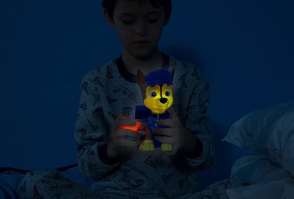 Paw Patrol Musical Light Up Toy