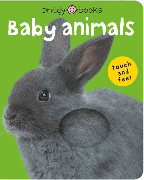 Touch & Feel Baby Animals Book