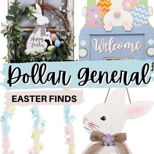 Dollar General Lawry's Seasoned Salt Only 1.25! a Coupon Queen