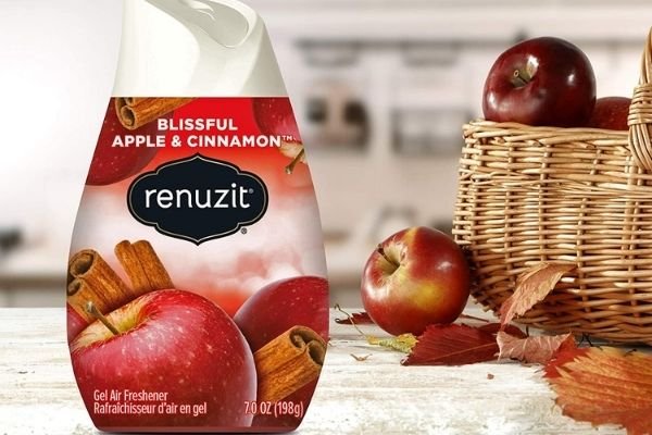 Renuzit Air Freshener