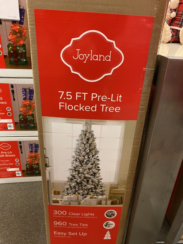Christmas Trees on Sale
