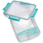 Lunch Containers on Sale! 3-Compartment Container Only $5.40!!