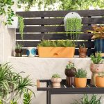 Planters on Sale | Self-Watering Planters as low as $0.99 Each!