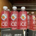 Big Lots Freebie Get a FREE Bottle of Sparkling Ice Today Only!