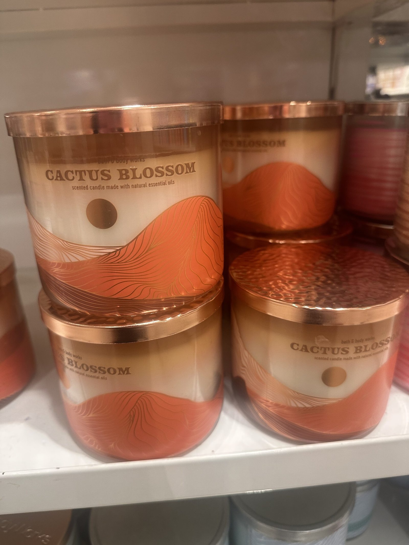 Bath & Body Works Semi-Annual Sale