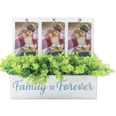 Family is Forever Plant Holder on Sale