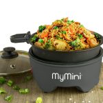 my mini cooker featured
