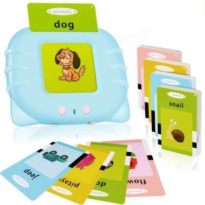 Talking Flash Cards on Sale