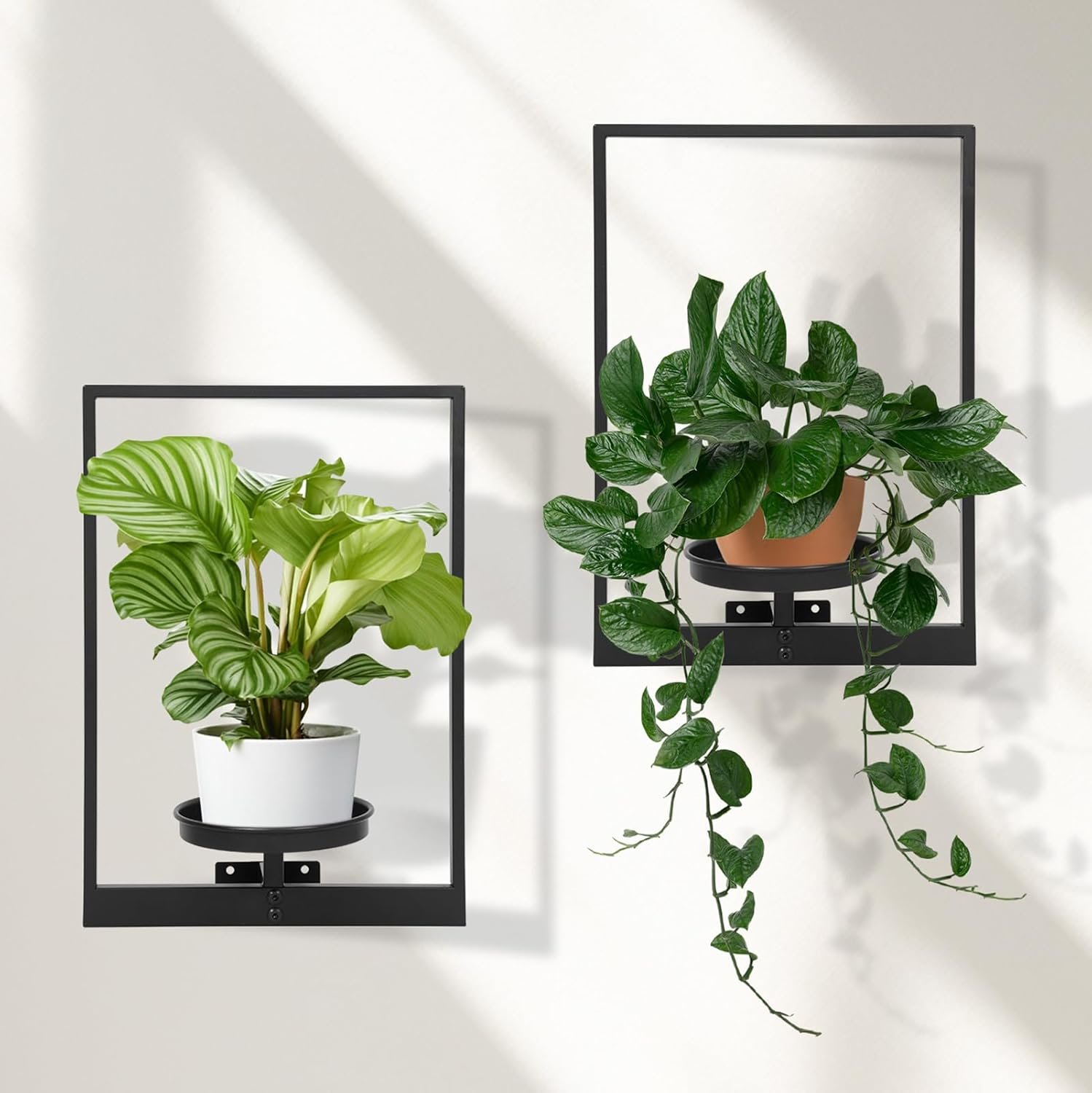 Wall Plant Holder Floating Shelves