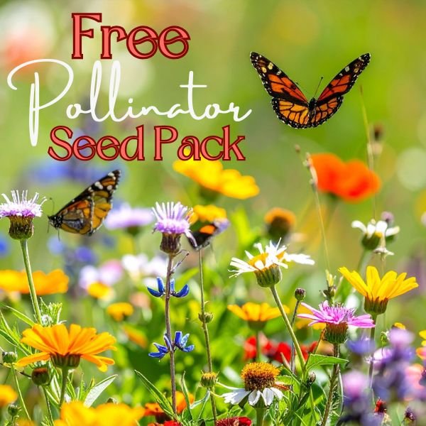 FREE Pollinator Seed Pack