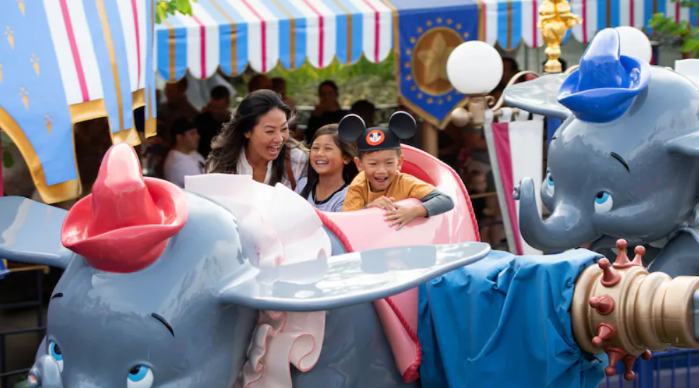 Disneyland Ticket Sale